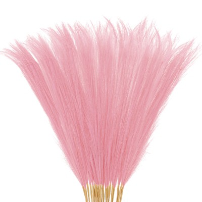 Unique Bargains Dried Plants Artificial Durable Small Fluffy Pampas Grass for Home, Office, Party 20 Pcs 21.7 Inch
