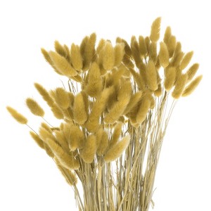 Unique Bargains Decorative Natural Dried Floral Bunny Tail Artificial Plants 120 Pcs - 1 of 4