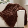 Brooklyn Loom 50"x70" Bubble Rabbit Faux Fur Throw Brown - 3 of 4