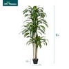 DR.Planzen 4-6FT Artificial Dracaena Tree with Realistic Leaves - Faux Indoor/Outdoor Floor Plant, Tall Fake House Plant for Tropical Home Decor - 4 of 4