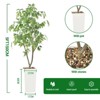 Tall UV Resistant Ficus Tree Artificial, 5ft Realistic Texture Potted Faux Ficus Tree, Fake Trees Indoor Outdoor for Home Office Foyer Porch Decor - 2 of 4
