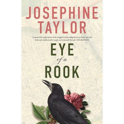 Eye of a Rook - by  Josephine Taylor (Paperback)