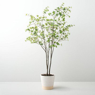 55" Faux Gypsophila Leaf Potted Tree - Hearth & Hand™ with Magnolia