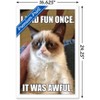 Trends International Grumpy Cat - Fun Framed Wall Poster Prints - 3 of 4