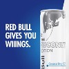Red Bull Coconut Berry Energy Drink - 8.4 fl oz Can - 4 of 4