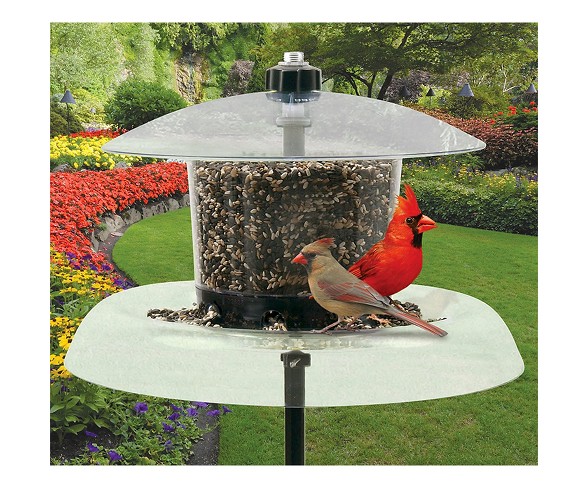 Droll Yankees Jagunda Squirrel Proof Bird Feeder - Clear - 18.5"