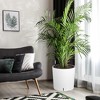 Round Planter Set of 2, Self Watering Pots for Indoor Plants, Large Flower Pot Outdoor with Built-in Drainage and a Water Level Monitor - 3 of 4