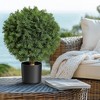 Artificial Topiary Trees 2-Pack, 17 Inch UV Resistant Faux Cedar Ball Trees for Indoor Outdoor Decor - 2 of 4