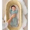 Love to Dream Swaddle Up Swaddle Wrap - Original - Deep Olive - 2 of 4