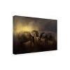 Trademark Fine Art -Jai Johnson 'Together Through The Storms' Canvas Art - 4 of 4
