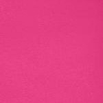 raspberry sorbet