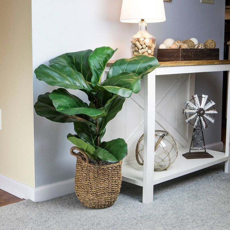 36&#34; x 18&#34; Artificial Fiddle Leaf Fig Plant in Basket - LCG Florals, 4 of 12