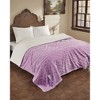 Coucheta Electric Blanket, Thick Tufted Plush Heated Blanket,10 Heat&Time Settings,ETL Certified Machine Washable Heated Throw,Multiple Sizes&Colors - 2 of 4