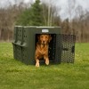 Dakota 283 Canine Rough and Tough Economy Pet Kennel, Heavy Duty Crate for Dogs and Cats with Ventilation Holes, Large, Olive - 4 of 4