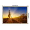 Amanti Art Saguaro National Park Setting Sun by Melanie Viola Canvas Wall Art Print Framed - 3 of 4