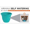 Bloem Ariana Planter with Self-Watering Disk - 3 of 4
