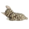 Aurora Medium Sleepy Tabby Kitten Miyoni Tots Adorable Stuffed Animal Gray 10" - 4 of 4