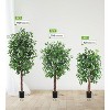 Artificial Ficus Tree 2 Pack, 1008 Flat Leaves Faux Plant with Black Nursery Pot, 2-Trunk Fake Ficus Tree for Home Office Indoor Outdoor Decoration - 3 of 4