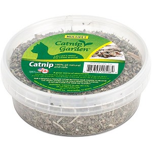 Multipet Catnip Garden Tub Toy, 1 oz - 1 of 1