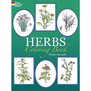 Herbs Coloring Book - (Dover Nature Coloring Book) by  Stefen Bernath (Paperback) - 1 of 1