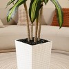 DR.Planzen UV Resistant Artificial 6-7FT Tall Pre Potted Dracaena Tree with White/Brown Tall Square Planter for Indoor Outdoor House Home Decor - 4 of 4