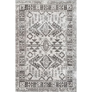 Nuloom Serena Pet Friendly Machine Washable Distressed Traditional Area Rug - 1 of 4