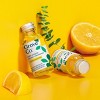 Grove Co. Lemon & Eucalyptus Multi-Purpose Cleaner Concentrate - 2 fl oz - image 3 of 4