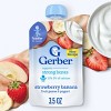 Gerber Baby Food Pouch - Fruit & Yogurt Strawberry Banana - 3.5oz - 2 of 4