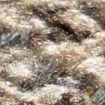 navy, peach, ivory, mustard