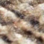 navy, peach, ivory, mustard