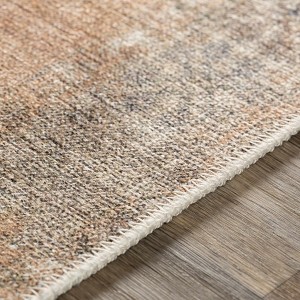 Hauteloom Carrabelle Peach Washable Area Rug - 1 of 4
