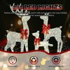 CIPACHO 3-Piece 5FT Lighted Reindeer Family - Weatherproof Brown Rattan Decor with 290 Warm White LEDs (Indoor/Outdoor Xmas) - 2 of 4