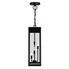 CWI Lighting Windsor 4 Light Black Outdoor Ceiling Light - 3 of 4
