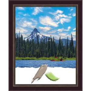 Amanti Art Signore Bronze Wood Picture Frame - 1 of 4