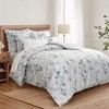 Florina Euro Sham set of 2 - Levtex Home - 3 of 4
