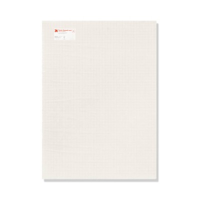 20"x28" Invisigrid Foam Poster Board White - up&up™
