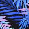 blue pink floral