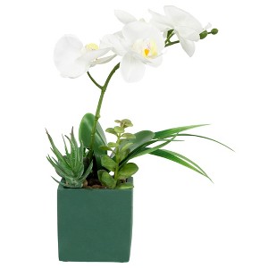 Northlight 12" Orchid and Succulents Artificial Potted Flower Arrangement - Green/White - 1 of 4