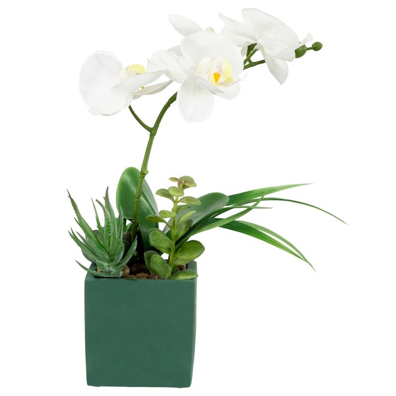 Northlight 12" Orchid and Succulents Artificial Potted Flower Arrangement - Green/White, 1 of 9