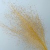 Alilang Dried Wispy Grass Stems for Home Decoration and Floral Arrangements, 17 Inches - 3 of 3