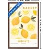 Trends International Reinders: Fruit Market - Sorrento Lemons Framed Wall Poster Prints - 3 of 4