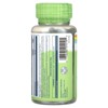 Solaray True Herbs Nettle, 100 VegCaps (300 mg per Capsule) - 3 of 4