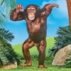 Collections Etc Realistic Standing Chimp Outdoor Decorative Garden Stake - 2 of 2