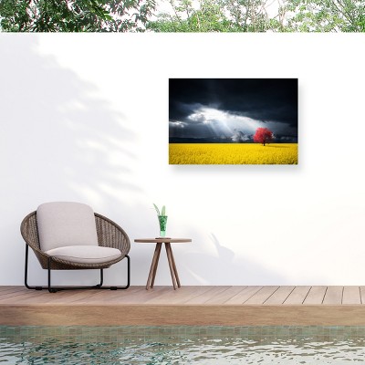 Trademark Fine Art - Bess Hamiti A Red Tree In The Canola Meadow Matted Framed Art