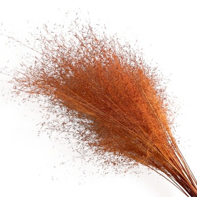 Alilang Decorative Dried Wispy Grass Stems for Home Decoration and Floral Arrangements, 17 Inches