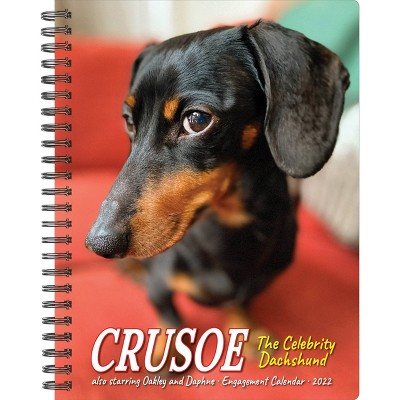 2022 Engagement Calendar Crusoe the Celebrity Dachshund - Willow Creek Press