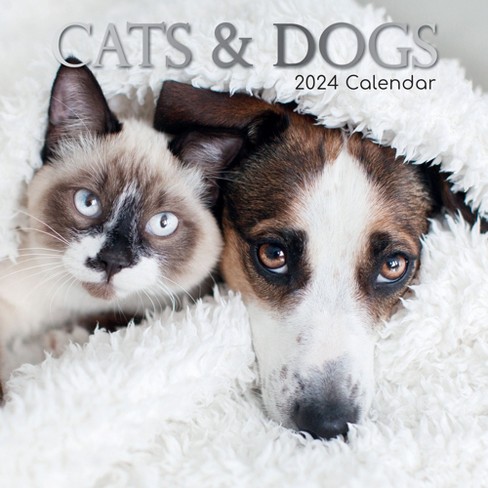 2024 Corporate Cats Wall Calendar, TF Publishing