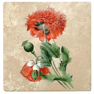 Christmas by Krebs Set of 4 Green and Red Opium Poppy Square Coasters 4"