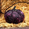 The Lakeside Collection Webbed Pumpkin Decor - 2 of 3