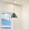 Artcraft Lighting Tote 1 - Light Pendant in  Black - 4 of 4